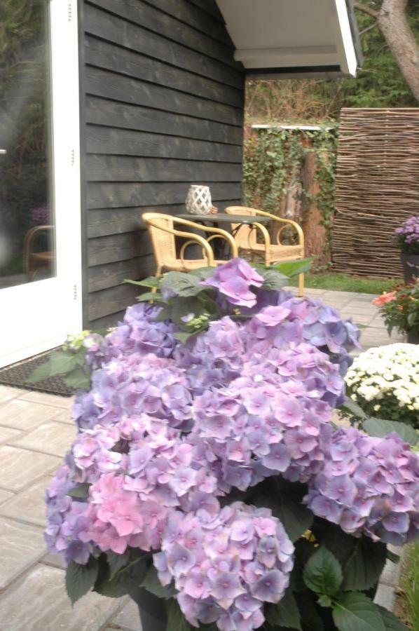Bed & Breakfast Aan De Bosrand Hoenderloo Apeldoorn